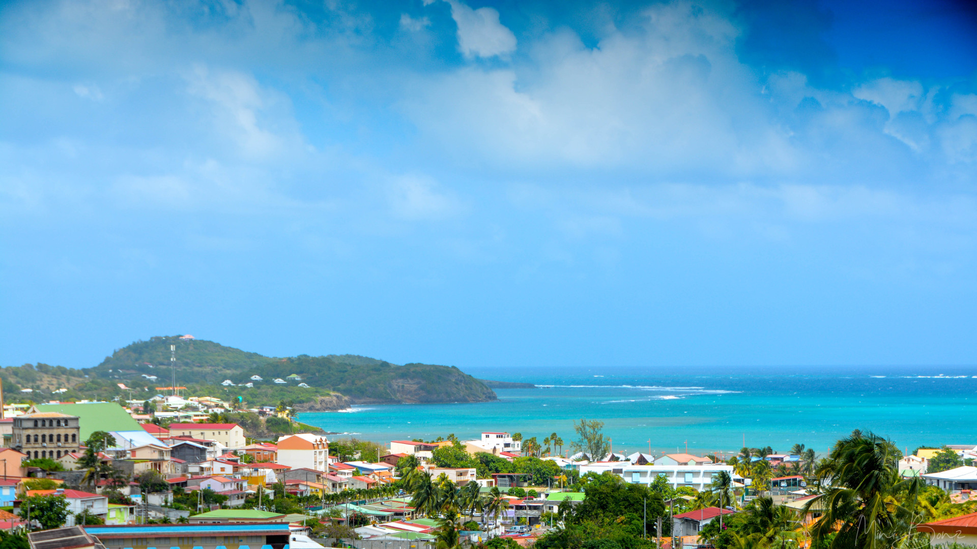 Location de voitures en Martinique : les bons plans pour économiser !